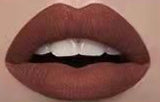 Naughty Nude Matte Lipstick